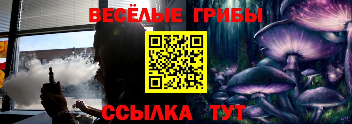 Качканар  Галлюциногенные грибы Cubensis  Вход с VPN 